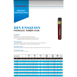 Hydraulikslange kit 1/4" BSP EN853 10m